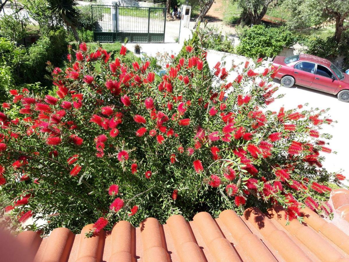 Vila Zogaj Ksamil Exterior foto